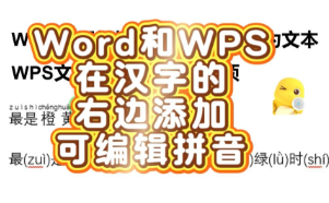 在Word和WPS文字中添加的拼音放到文字右边