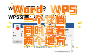 在Word和WPS文字中要同时查看和编辑一个文档的两个地方？拆分窗口