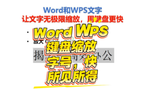 在Word和WPS文字中让文字无极限缩放，用键盘更高效