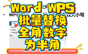 在Word和WPS文字中把全角数字全部改为半角