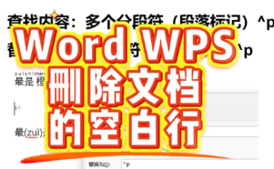 快速删除Word和WPS文字中的空白行