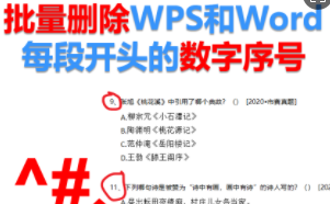 批量删除WPS文字和Word每段开头的数字序号