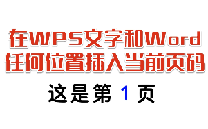 在Word和WPS文字的任何位置插入当前页码数，可以刷新