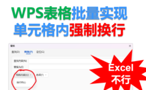 用WPS表格的查找替换实现单元格内批量强制换行