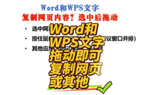 复制网页文字到Word、WPS文字？选中后直接拖放