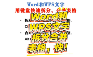 在Word和WPS文字中快速拆分、合并表格