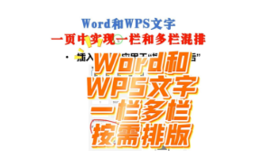 在Word和WPS文字一页中实现一栏与多栏混排