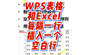 在Excel和WPS表格中隔一行插入一个空白行