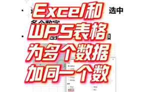 在Excel和WPS表格中为多个数字同时加上相同的数值