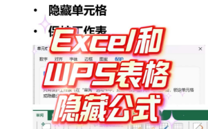 在Excel和WPS表格中如何隐藏单元格的公式