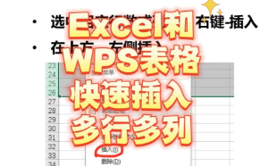 在Excel和WPS表格中快速插入多行或多列