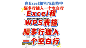 在Excel和WPS表格中隔多行插入一个空白行