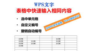 在WPS文字的表格中快速输入相同的内容