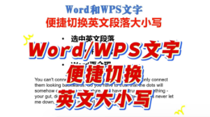 在Word和WPS文字中便捷切换英文段落大小写