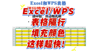 格式刷+快捷键：Excel和WPS表格隔行填充颜色超方便