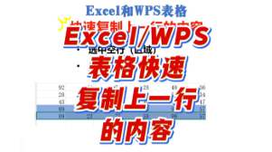 在Excel和WPS表格中快速复制上一行内容
