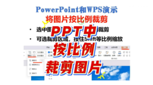 PPT中将图片按比例裁剪
