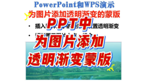 PPT中为图片添加透明渐变的蒙版