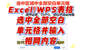 Excel和WPS表格中选中全部空单元格并输入相同内容