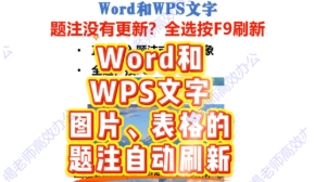 Word和WPS文字中的题注没有更新？全选按F9刷新