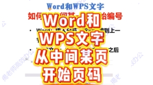 Word和WPS文字如何从特定的页开始编号（页码）？